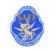 ผลบอล South Asian Championship U19
